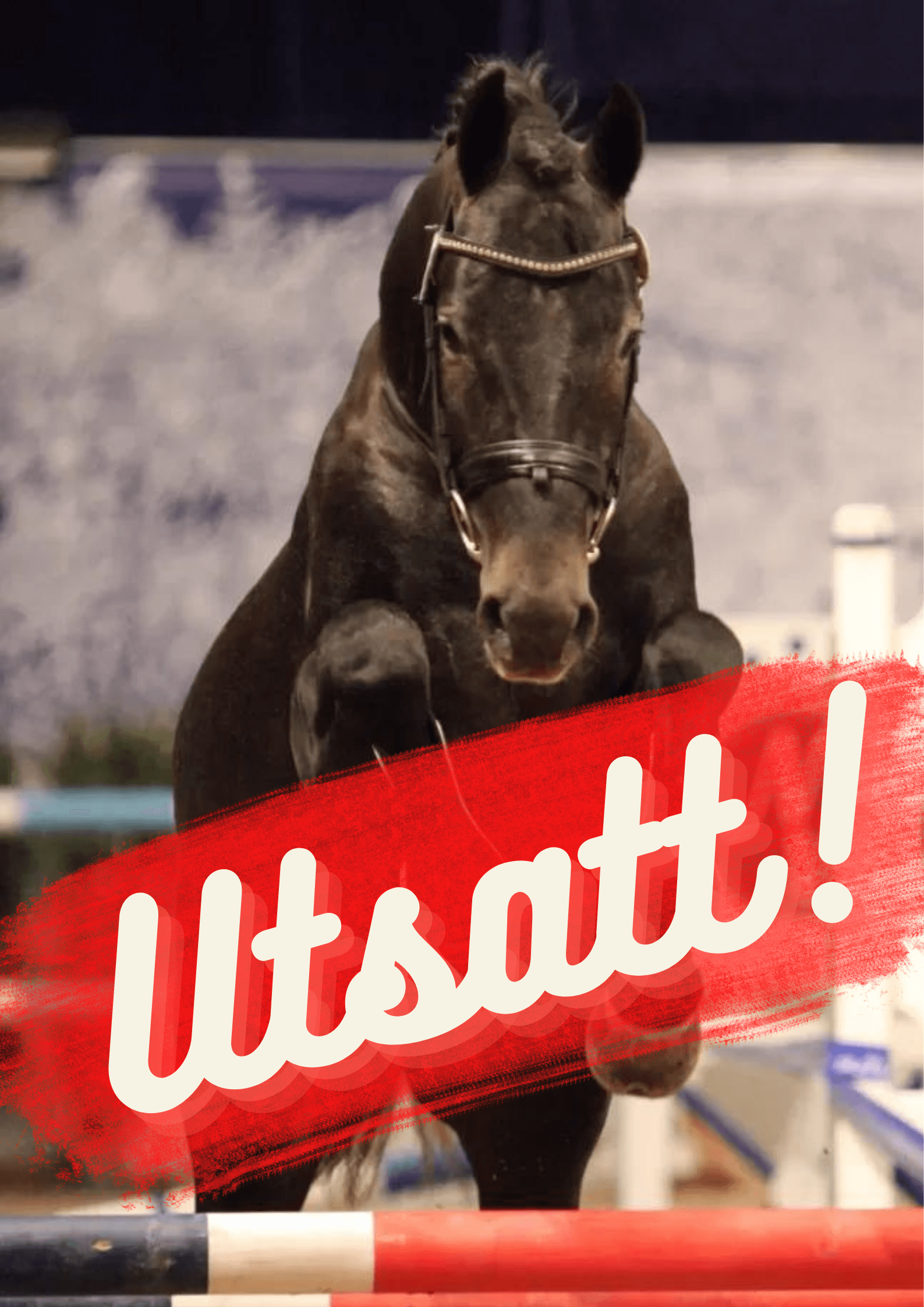 Løshopping / Banner utsatt arrangement / Norsk Varmblod