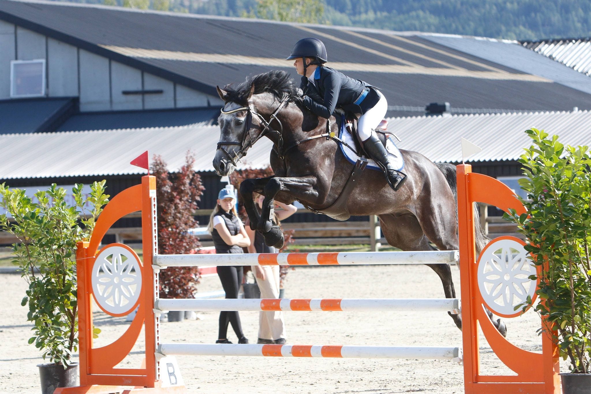 235254333_176494927882771_7206515180449291752_n