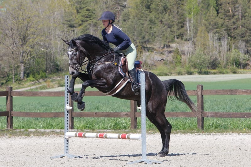 96259165_870680733435610_5479260160859832320_n